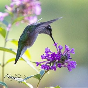 Meet your Posher, Andrea